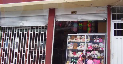 MISCELANEA CALLE 41 A SUR MISCELANEA CALLE 41 A SUR